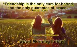 friendship is the only cure for hatred and the only