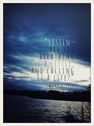 ... Quotes, Quote Life, Deep Breath, Favorite Quotes, Mary Oliver, Quotes