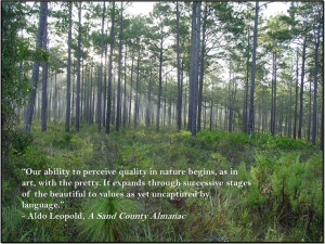 Leopold, A Sand County AlmanacOutdoor Inspiration, Aldo Leopold Quotes ...