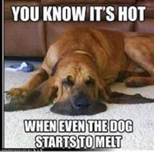 Funny stuff about the heat (Bullhead City, Buckeye: 2013, home ...