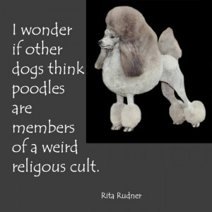dog quotes about poodles