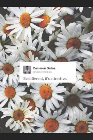 ... Twitter, 26Mgts Quotes, Magcon Quotes Tweets, Cameron Quotes, Cam