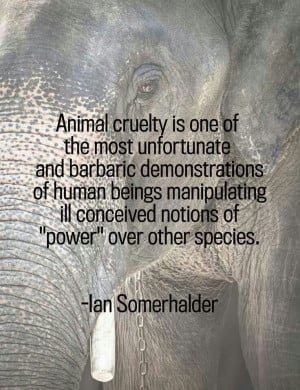 Ian somerhalder quote animal cruelty,,and They Will Stand Before God ...