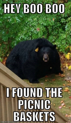 Leave a Reply Cancel reply