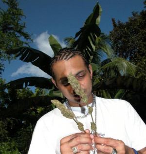 Sean Paul weed quotes