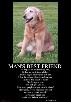 Tribute To The Loyalty Of Dogs