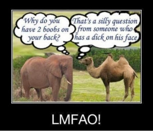 Funny Elephant and Camel talking about private parts
