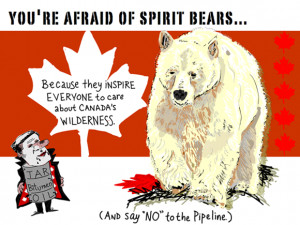 You’re afraid of spirit bears because they inspire everyone to care ...