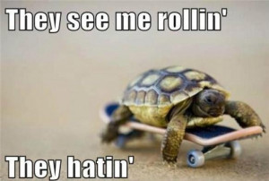 don't be hatin'