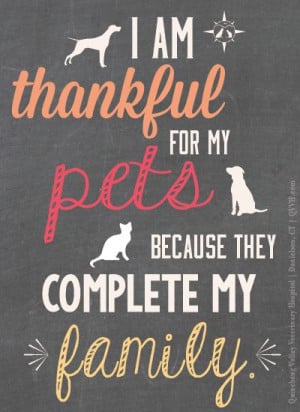 Re-pin if your pets are part of your family. As a veterinarian crew ...