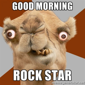 Crazy Camel lol - GOOD MORNING ROCK STAR