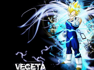 Prince Vegeta Vegeta