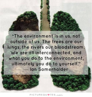 Tree Quotes Environment Quotes Go Green Quotes