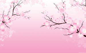 cherry blossom flower
