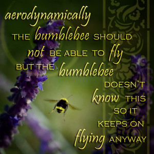 bumble bee quotes