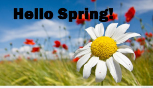 Free spring wallpaper 2015