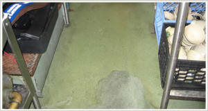 Example of an inferior worn out epoxy floor (top) and Everlast Floor ...