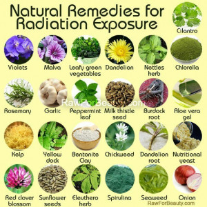 Natural remedies for radiation exposure