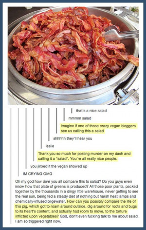 funny-salad-bacon-vegan-murder