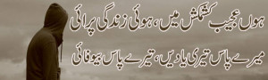 feel free to add your own urdu picture shayari here urdu poetry ...
