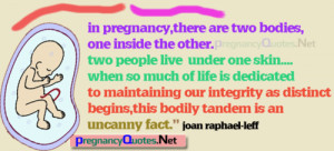 Beautiful Pregnancy Quotes Tumblr