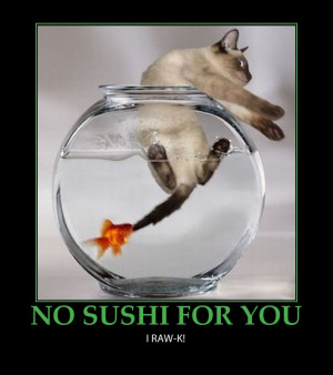 Sushi Humor and Jokes