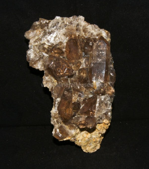 Funny Quotes Contact Us DMCA Notice