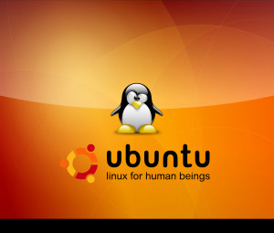 Ubuntu Linux for Human Beings - Wallpaper #31126