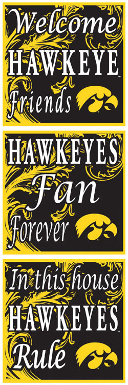 Iowa Hawkeyes Collegiate Crystal Bling Blocks