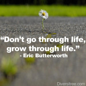 Don’t go through life, grow through life.