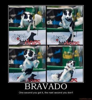 bravado-bravado-demotivational-poster-1259880942.jpg