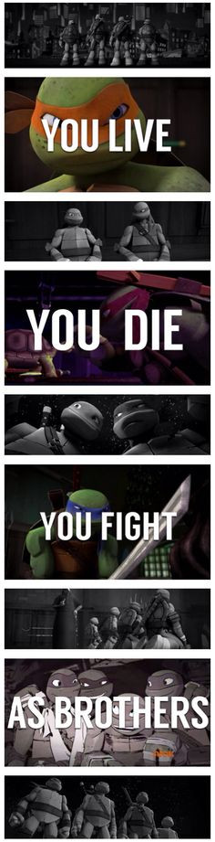 An edit made by me ! #TMNT 2012 + 2014 quote :) More