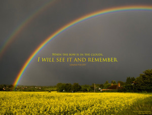 ... rainbow over a field of rapeseed corn in the UK. Design: Logan Weiler