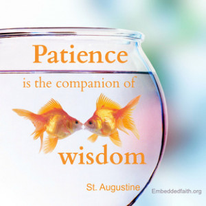 Patience is the companion of wisdom St. Augustine - Saintly sayings