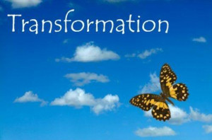 more quotes pictures under butterfly quotes html code for picture