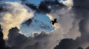 30 Most Inspirational Quotes By Highly Successful Women Around The ...