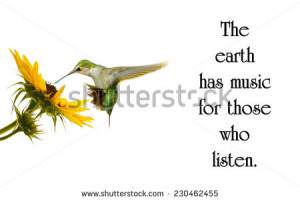 quote on nature by George Santayana with a beautiful hummingbird ...