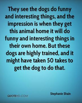 they see the dogs do funny and interesting things and the impression ...