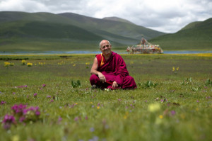... Happiness and Meditation – Talks from Tibetan Monk Matthieu Ricard