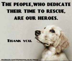 ... rescue and / or have rescued animals - you are forever in my heart
