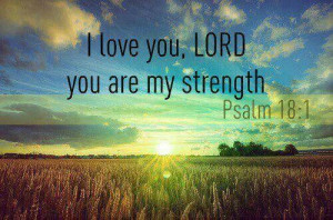 Pinned by Barbara Gore