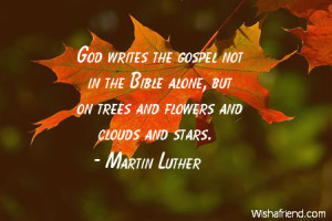 nature-God writes the gospel not in the Bible alone, but on trees and ...