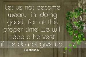 don t get discouraged quotes quotes discouragement 43 quotes goodreads