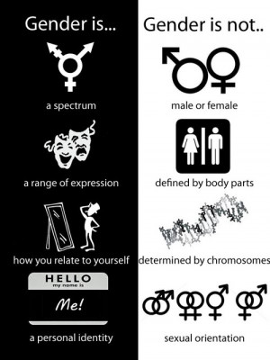 gender is gender is not