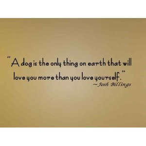 Pet Quotes Poems And Sayings