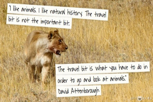 Today, I have chosen my quote in relation to one of my last posts ...