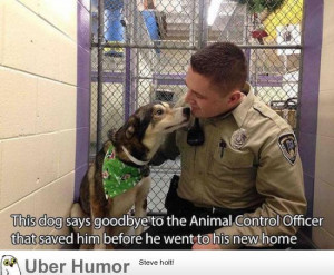 Daily Afternoon Chaos (40 Pictures)