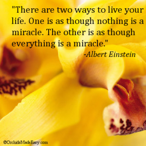 Words of wisdom spoken from a true genius. What do you think?