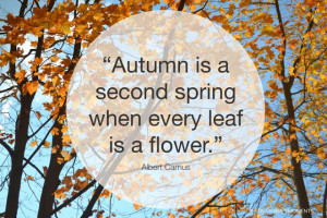 Beautiful Autumn Day Quotes. QuotesGram