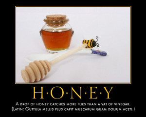 Go Proverbs! Proverb Laboratory: Poster: Honey and Vinegar
